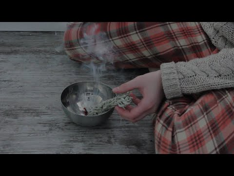 Видео: Тихий день в марте | ВЫРАЩИВАЕМ ЛЕКАРСТВЕННЫЕ РАСТЕНИЯ И ЦВЕТЫ НА ПОДОКОННИКЕ | ГОРЯЧИЕ БУТЕРБРОДЫ