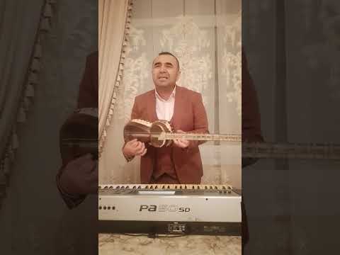 Видео: 13 ноября 2025 г.