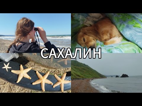 Видео: САХАЛИН / ЛЕТО / СЕМЬЯ / КАНИКУЛЫ 