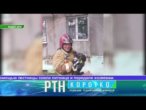 Видео: Выпуск ТВ-новостей - 11.09.25
