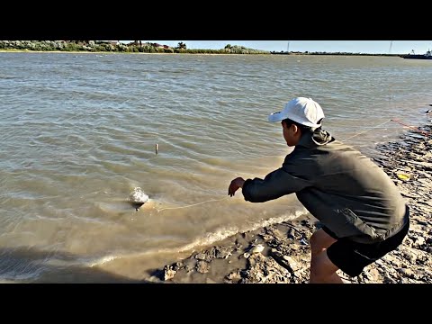 Видео: Қуырмаш бар |  Жазғы сазан аулау | рыбалка Атырау