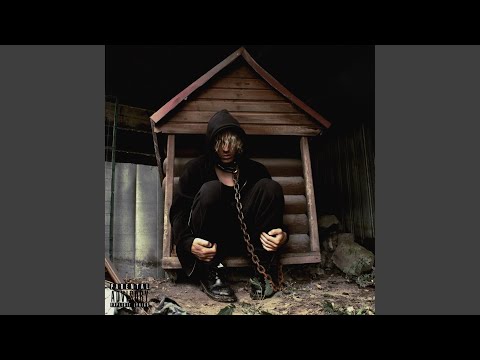 Видео: Зонт