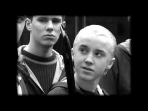 Видео: Жизнь (The Life)