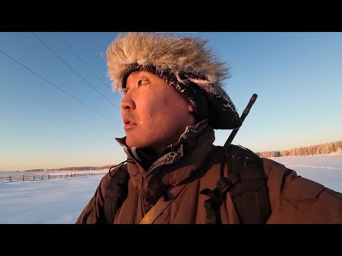 Видео: Мас көтөрүгэр хаамыы Саһылга чаархаан иитии