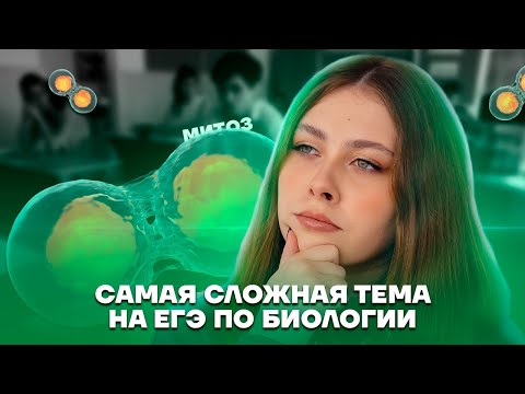 Видео: Митоз в ЕГЭ: Как решать задания? | Биология ЕГЭ 2025 | Умскул