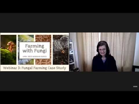 Видео: Грибы и почвенная пищевая сеть | Фермерство с грибами, Вебинар 3