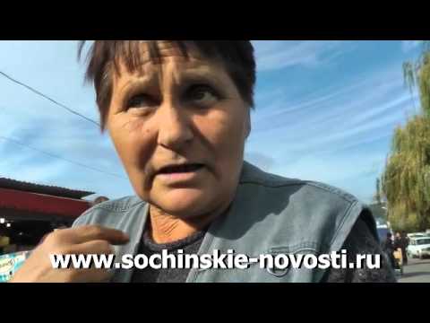 Видео: мандарины из абхазии