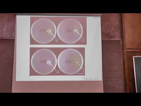 Видео: 32 Некультивируемые микроорганизмы