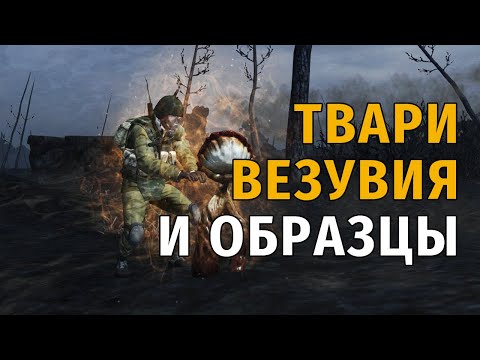 Видео: 116. Твари Везувия и Образцы. Сталкер Онлайн | Stalker Online | Stay Out. RU2.