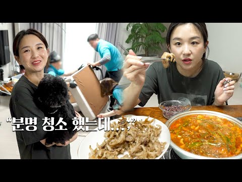 Видео: Мы почистили диван и кровать спустя 3 года 😲ㅣСвиные ребрышки, куриные ножки с чеснокомㅣHamzy Vlog