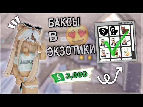 Видео: 3600 баксов в экзотиков (и добавки!!1)