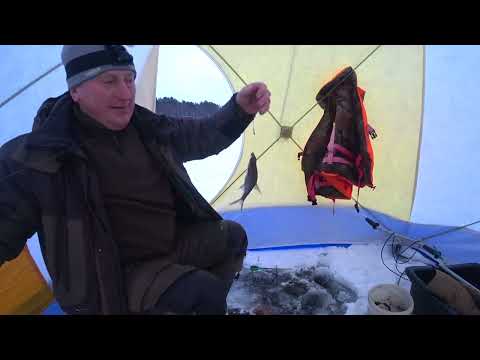 Видео: ПЕРВЫЙ ЛЁД 2024! ОЗЕРО БЕРШТЫ. ЗИМНЯЯ  РЫБАЛКА В ПАЛАТКЕ СТЭК КУБ 3. ЛОВЛЯ СО ЛЬДА В БЕЛАРУСИ!