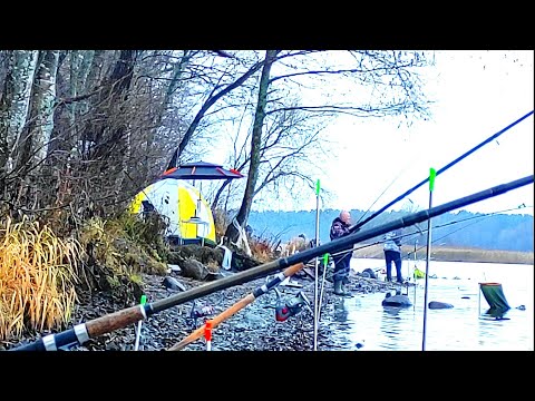 Видео: 40 кг Леща за ночь .Устал ловить .Ловля Осеннего Леща на Реке.Рыбалка по холодной воде.Фидер.