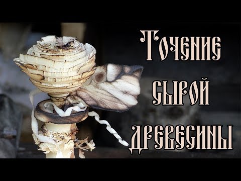 Видео: ТОЧЕНИЕ СЫРОЙ ДРЕВЕСИНЫ