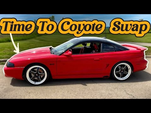 Видео: Обмен койотами на мой Mustang 1995 года | Supercharged SN95 Coyote