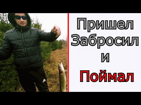 Видео: Зимняя щука, хитрый силикон и ребрышки... Снова Relax Kopyto.