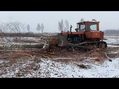 Видео: Валю толстые березы ДТ-75