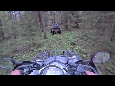 Видео: ПОКАТУШКА НА КВАДРОЦИКЛАХ В ЛЕС, ТАМ, ГДЕ НЕ СТУПАЛА НИ ОДНА ПОКРЫШКА!
