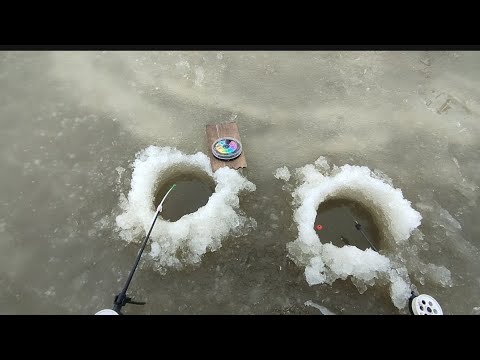 Видео: РЫБАЛКА НА ПРУДУ ПЕРВЫЙ ТОЛСТЫЙ ЛЕД КЛЕВ КАРАСЯ #рыбалка #зимняярыбалка #карась #fyp  #fishing