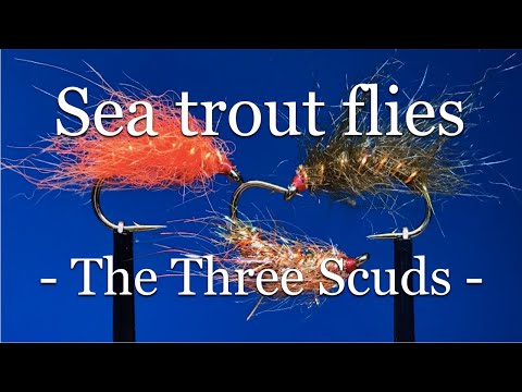 Видео: Мушки для морской форели. Мушка № 3. Три форели. Мой мушковый ящик. С Эйвиндом Берульфсеном.