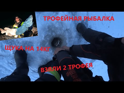 Видео: ЩУКА НА 14КГ СЛОМАЛА ЖЕРЛИЦУ! ДВА ТРОФЕЯ! Зимняя рыбалка 2021.
