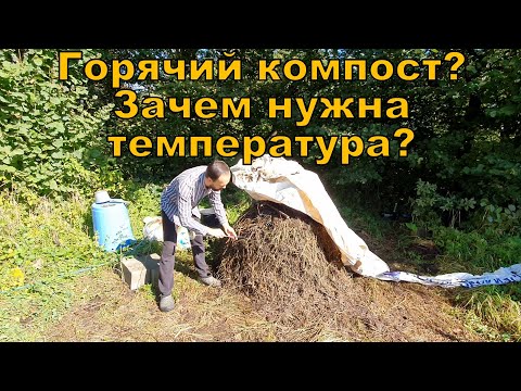 Видео: Горячий компост? Зачем нужна температура? Что с патогенами?