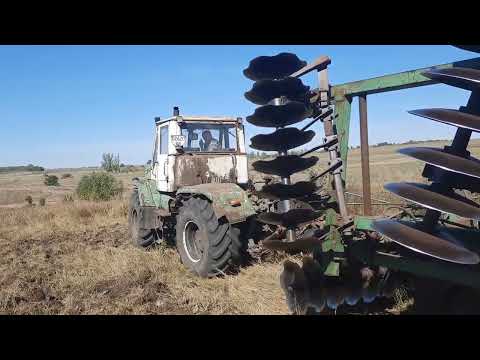 Видео: Подготавливаем поле к посеву пшеницы, убираем Тëрн с помощью дисков Т-150.