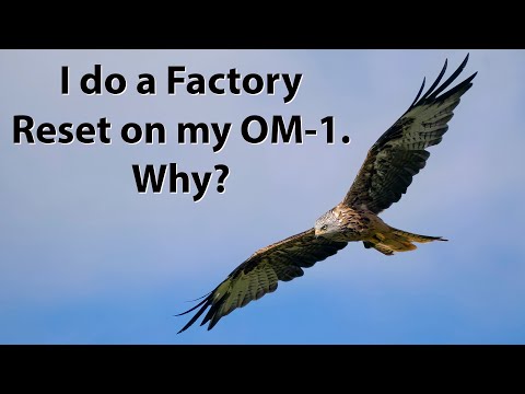 Видео: Почему ваши фотографии птицы в полёте нечёткие? Я пытаюсь показать, что дело в настройках.