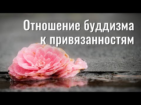 Видео: Как буддизм относится к привязанностям?