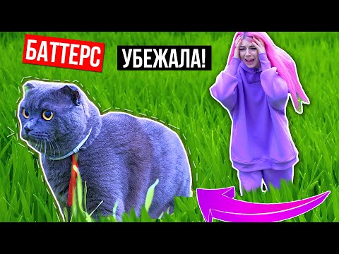 Видео: ВЫГУЛИВАЕМ КОШКУ | КОШКА НА УЛИЦЕ | БАТТЕРС УБЕЖАЛА !