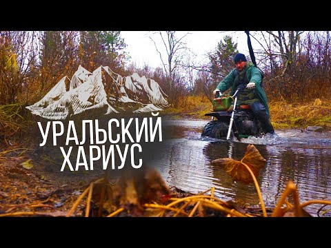 Видео: В поисках Хариуса на самодельном мотовездеходе