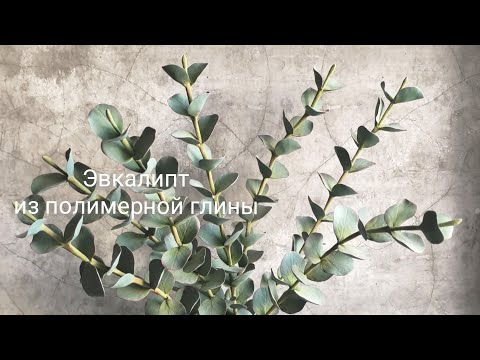 Видео: Эвкалипт из полимерной глины