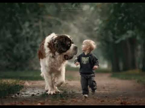 Видео: Рассказ про мальчика Лёшу