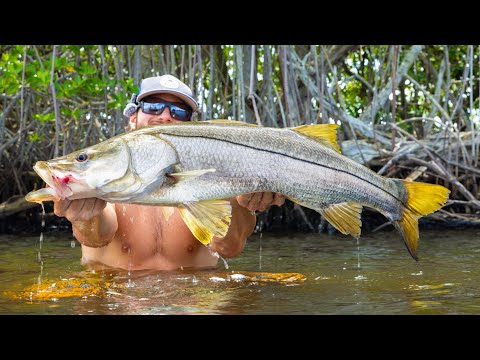 Видео: 3 дня в погоне за гигантским снуком в реке в джунглях