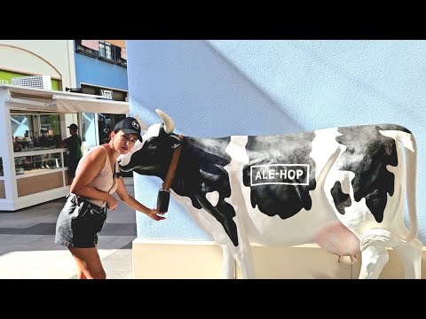 Видео: Мойка авто за 3€! Самый крутой ТЦ на юге Испании 🇪🇸