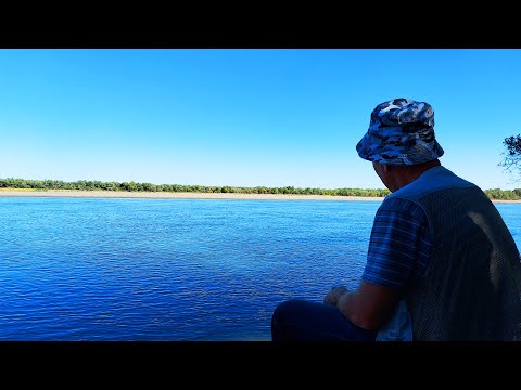 Видео: Сыр Дарья. В тишине отдохнуть,порыбачить. Щазззз! Взяли с собой хорошего друга.