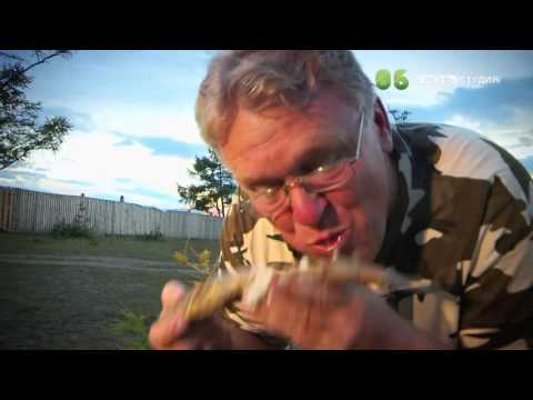 Видео: ЯЗБ ПРОТИВ ЕДЫ Иркутск