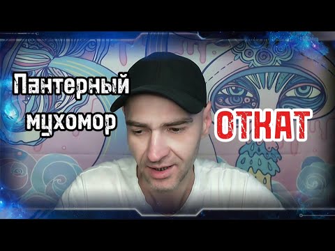 Видео: Отмена пантеры в больших дозах. Фенибут.