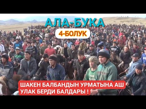 Видео: ШАКЕН БАЛБАНДЫН УРМАТЫНА АШ УЛАК БЕРДИ БАЛДАРЫ  АКЫРКЫ БОЛУК /КАНАЛДЫН НОМЕРИ 0773499079