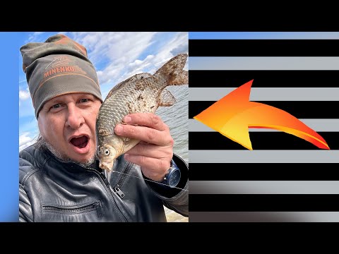 Видео: Рыбалка на реке Руза. Рузское водохранилище. Лещ, плотва, карась, фидер. Осень 2025