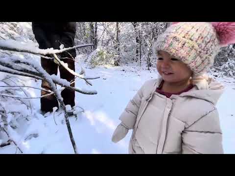 Видео: Снежный день! 🇵🇭 🇺🇸