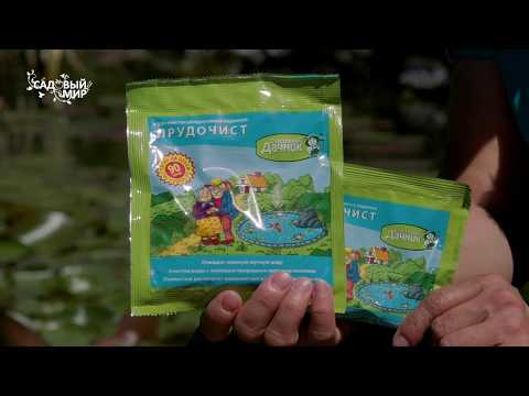 Видео: Красивый чистый пруд – это несложно