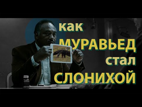 Видео: Как отличить Слона от Муравьеда? // Amnesia: A Machine For Pigs