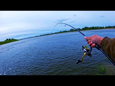 Видео: ПРОВЕРИЛ СТАРЫЕ МЕСТА на НАЛИЧИЕ РЫБЫ!!!