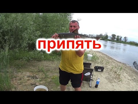 Видео: Рыбалка в Беларуси! 12-14 июня 2021г. река Припять в районе посёлка Лахва!