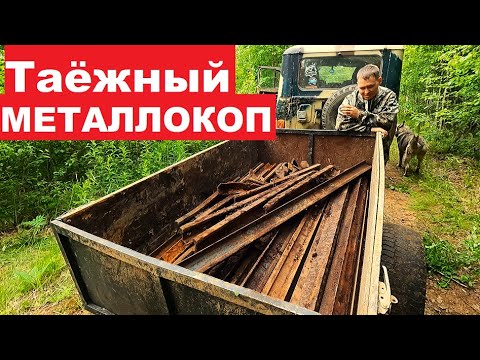 Видео: Таёжный МЕТАЛЛОКОП. Копаем старую ветку УЖД. Дорога разбита. Прокладываем объезд.