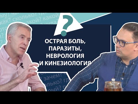 Видео: Острая и хроническая боль, протоколы лечения, блокаторы, паразиты | МНЕ ТОЛЬКО СПРОСИТЬ?!