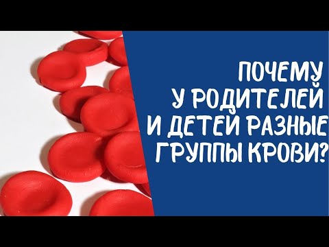 Видео: Почему у родителей и детей разные группы крови?