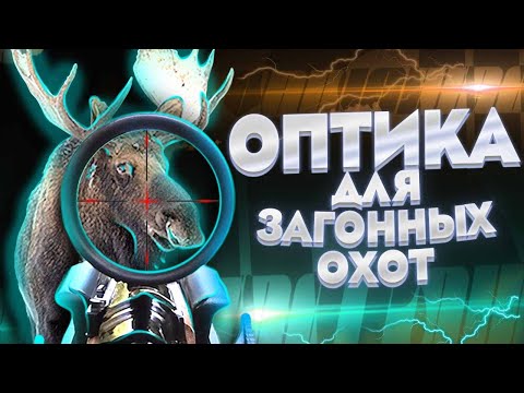 Видео: ОПТИКА НА ЗАГОННОЙ ОХОТЕ / КАКУЮ ВЫБРАТЬ /  ПОДРОБНЫЙ ОБЗОР И СРАВНЕНИЕ ЗАГОННЫХ ПРИЦЕЛОВ ОТ MEWLITE