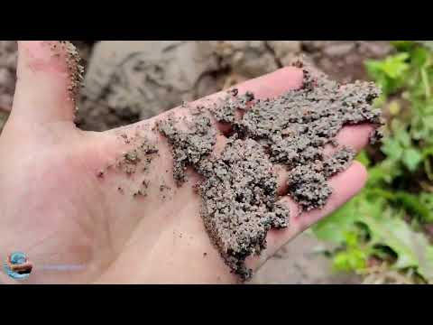 Видео: Абиссинская скважина п. Оранжерейка 🍊 3000л/ч!!!!!